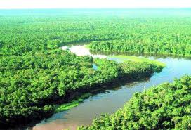 Mudanças no Código Florestal condenam ambiente e modos de vida à devastação