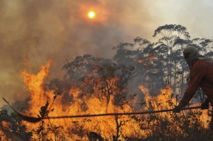 Retrocesso ambiental histórico