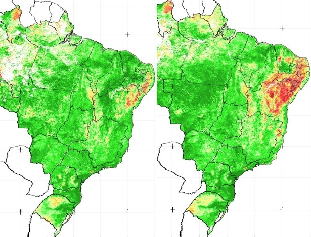 Imagens de satélite mostram 80% do semiárido nordestino afetado por maior seca em 30 anos
