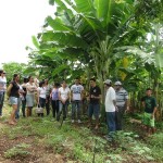 Visita técnica, comunitários conhecem agrofloresta da Vila Passos Felizes