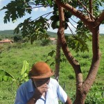 Visita à área de cultivo de D. Zenenide