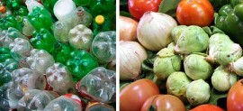 Delícia de Reciclagem: projeto de Jundiaí que promove troca de lixo por alimentos