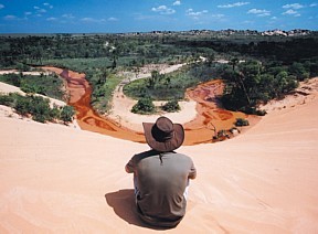 Empreendimento planeja criar um safári africano no meio do Tocantins