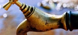 ONU marca o Dia Internacional da Biodiversidade alertando sobre água