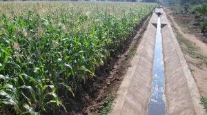 Um canal de irrigação em Mchinji, Malawi. Foto: FISD/IPS
