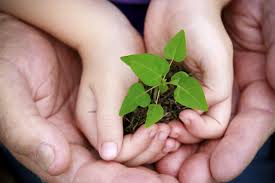 Fundo Nacional do Meio Ambiente apoia iniciativas sustentáveis