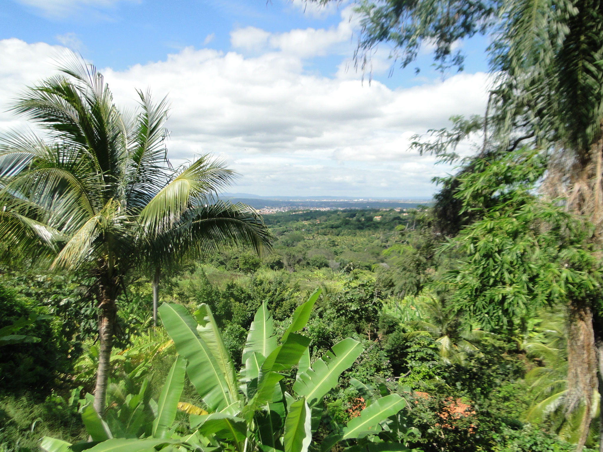 PALESTRA ECOLOGIA PESSOAL – 29.04.2014