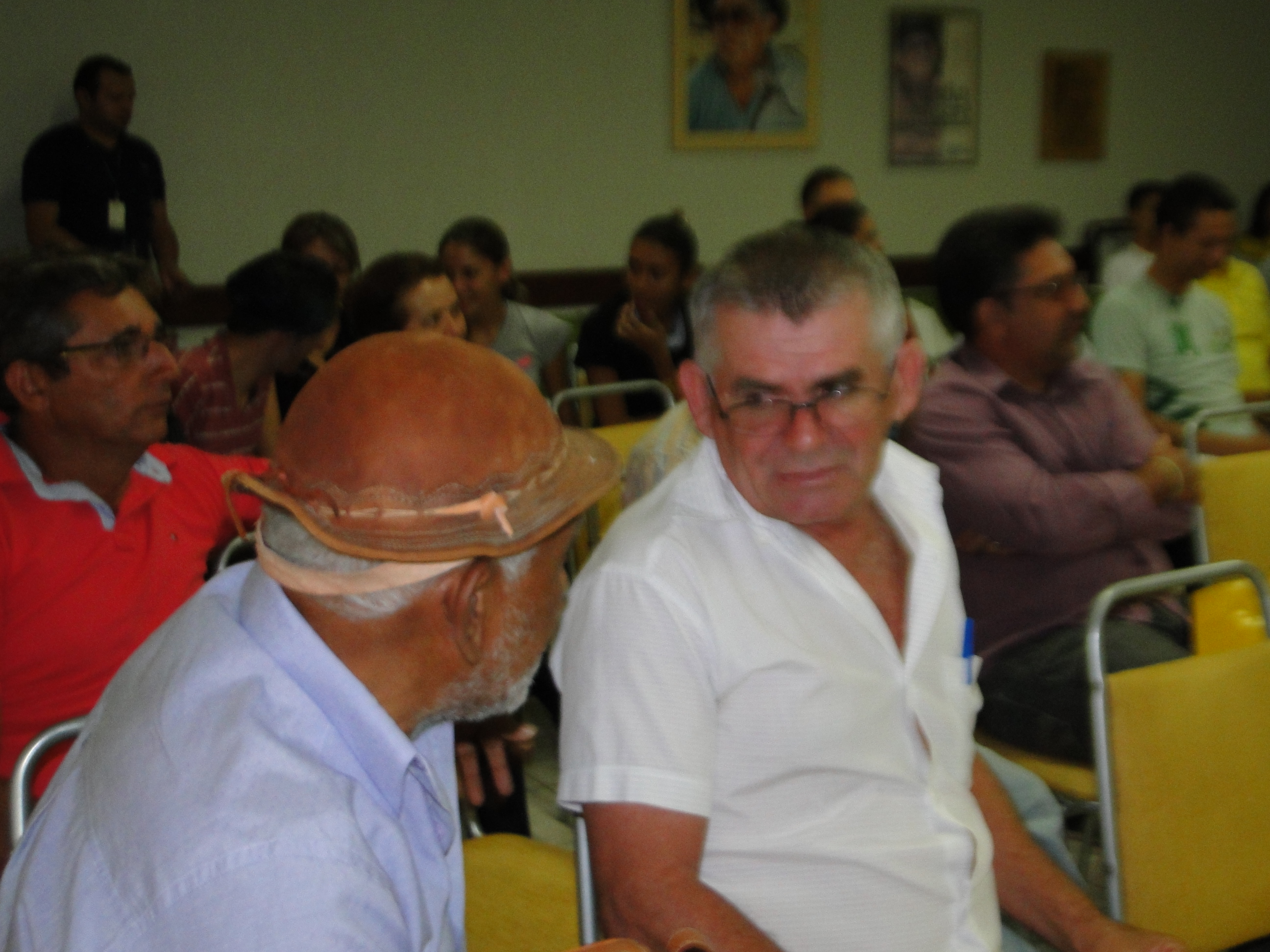 CAPACITAÇÃO DA PLENÁRIA 2014
