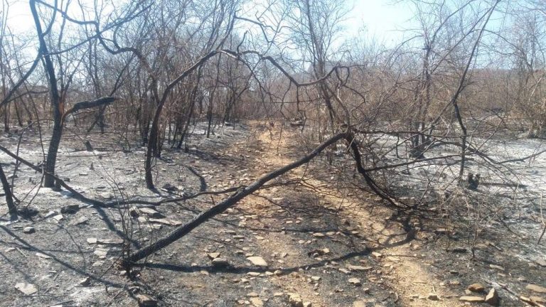 Dois incêndios destroem mais de 300 hectares em área de serra em Cariús e Aurora na divisa com a Paraíba