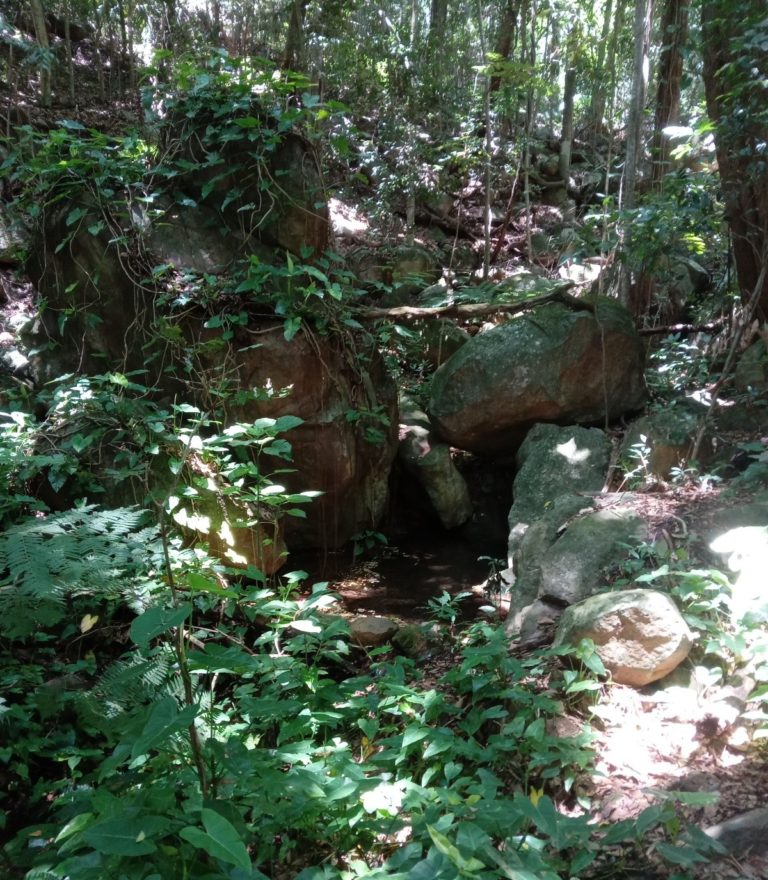 Cogerh se reúne com usuários para discutir gestão da Fonte Engenho da Serra, no Crato