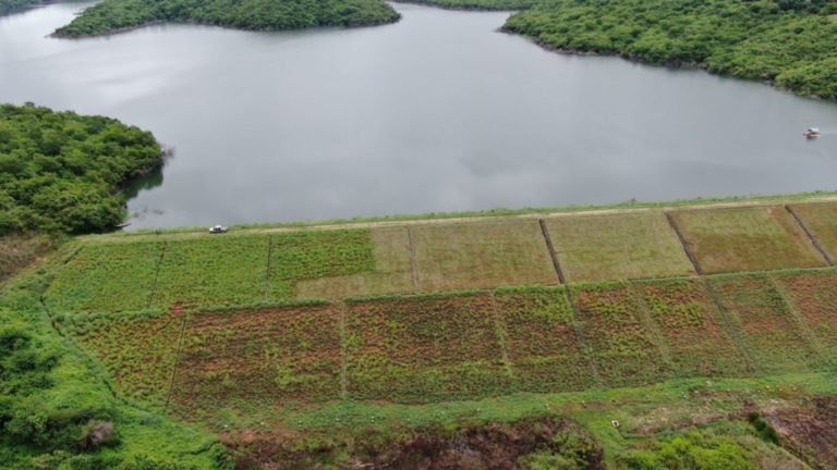 Comitê do Salgado aprova Plano de Secas do Açude Olho d’Água e preenche vacâncias no colegiado